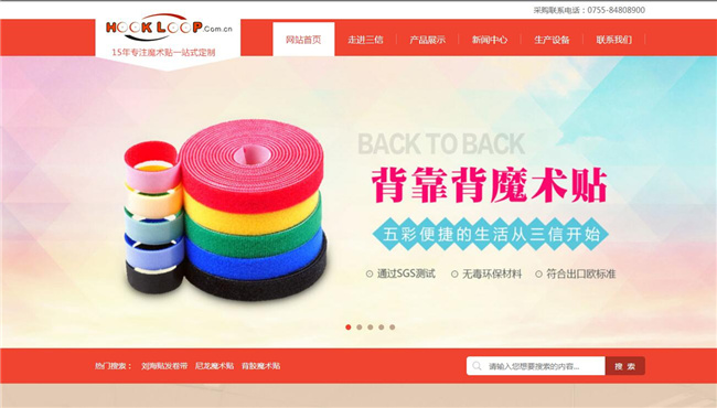 东三信网站案例